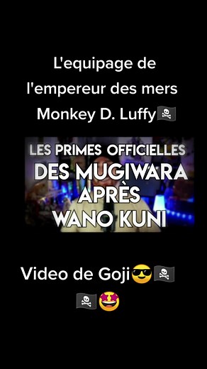 @Goji One Piece Les primes des mugiwaras
