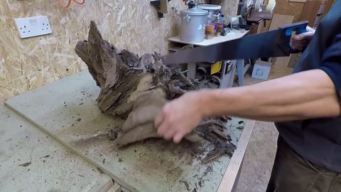 Watch how gnarly root ball turns to the Phoenix egg