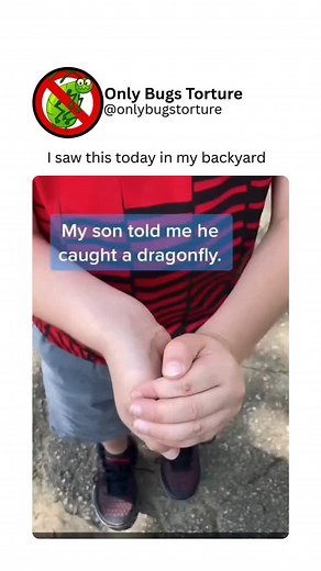 @bugsvideosonly on Instagram: "For some people, killing bugs becomes almost a satisfying ritual, especially when it's part of cleaning or organizing a space. Finding and eliminating every last spider or ant can turn into a mini-mission with clear goals and rewards. Each squashed bug feels like a step toward a cleaner, safer, and more perfect environment. In this way, the pleasure isn’t just in the moment of the kill — it’s in seeing the results afterward: a home that feels pure, orderly, and tot