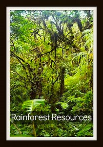 The Rainforest: Educational Resources for Parents and Teachers