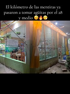 Maria Isabel Rodrigues on Reels