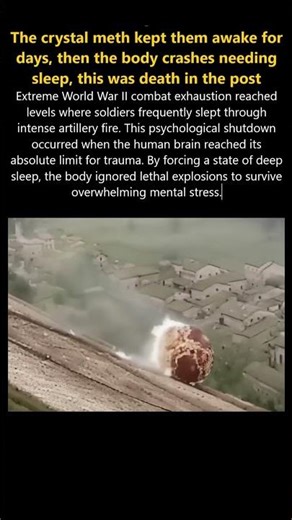 The Lethal Flaw in Human Biology #ww2 #history