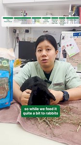 61 reactions | Is your rabbit getting the right kind of hay?  Hay makes up most of a healthy rabbit diet, but not all types are suited as their main feed. Join Dr Sarah Wong as she highlights the varieties available and what to look out for when choosing hay for your bunny.  #MountPleasant #RabbitVet #RabbitHay #RabbitDiet #BunnyDiet #RabbitHealth #PetWellness | Mount Pleasant Veterinary Group | Facebook