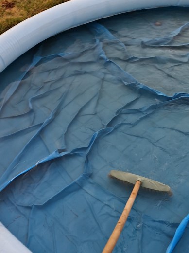 End of the Pool Cleaning Series: A Summary