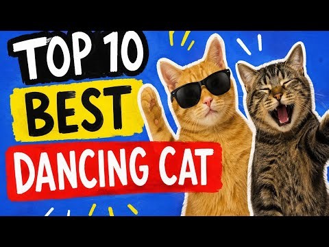 TOP BEST 10 DANCING CATS!