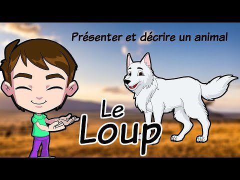 Présenter et décrire un animal / Le loup/ production écrite /animals in french/