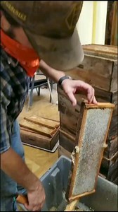1.3M views · 7.1K reactions | honey harvest #beekeepingsuit #commercialbeekeeping #beekeepingworkshop #rooftopbeekeeping #beekeepingeducation #beekeepingfarm #beekeepingfamily #beekeepingman #womeninbeekeeping #beekeeping101 #beekeepingpodcast #topbarbeekeeping #beekeepingjacket #beekeepingtipe #beekeepingitreal #viral | Beekeeping 84 | Facebook