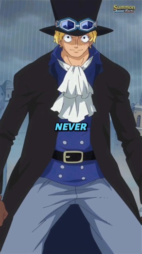 What If Sabo Never Came to Dressrosa? 🔥 | Who Gets Ace's Devil Fruit?