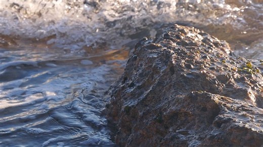 Sea, Wave, Rocks. Free Stock Video