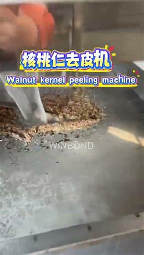 Walnut Kernel Peeling Machine | Food-grade stainless steel,physical peeling without damaging kernels