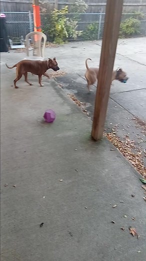 Matthew Sye on Reels