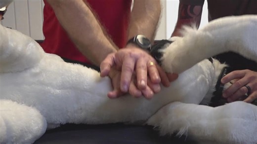 Portland firefighters train to save pets during emergencies