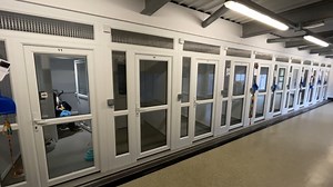 A Leeds cat adoption centre has celebrated its 10th anniversary with a name change that better reflects the wider area it serves | Yorkshire Evening Post