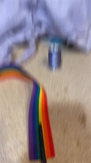 Cat crafts part 1: Easy DIY Rainbow cat toy! #cat #petlover #diy #rainbow