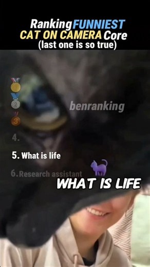 Ranking FUNNIEST CAT ON CAMERA core Moment!! 🐈 🎥