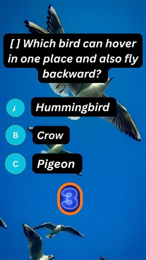 Which Bird Can Fly Backward? #quizshorts #viralvideos #viralvideos