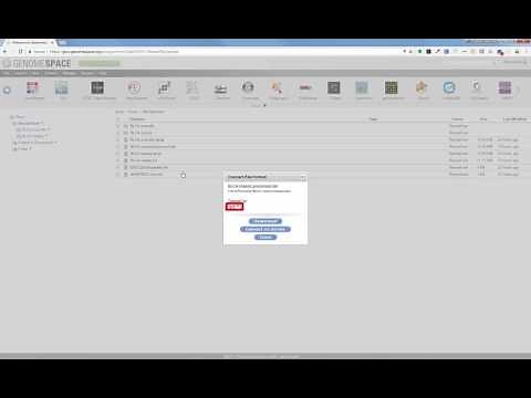 Convert the processed RNA-seq file into a GCT file