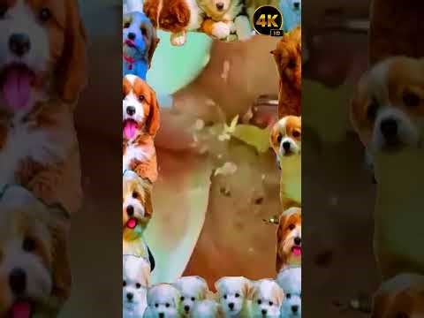 8M Plant vs Zombie Hacker 999990 Zombies In Survival Plants vs zombies hack Menu Pvz mod Ep177