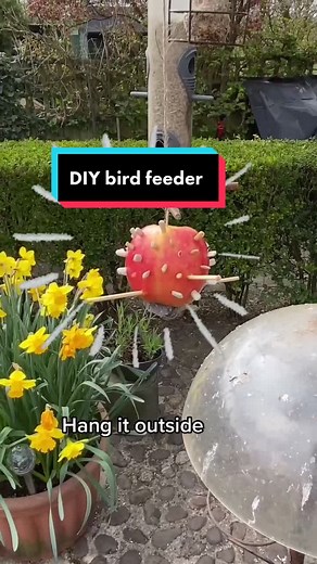 DIY Apple Bird Feeder: Transforming Apples into Wildlife Habitats