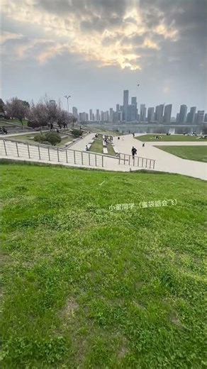 Outdoor Training with My Sugar Glider: Chaos & Cuteness! 🌳 #SugarGlider #ConfusingPets #OutdoorFun