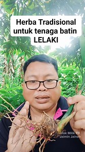 13K reactions · 1K shares | Herba Tradisional untuk tenaga batin lelaki #herbal #tips #traditional #tutorial #sihat #lelaki #tenagabatin | Jaimin Bin Jaineh | Facebook