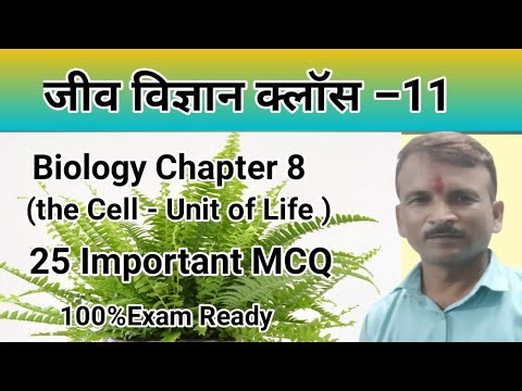 👉 Class 11 Biology Chapter 8 | Cell The Unit of Life 25 Important MCQs 🔥