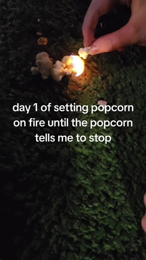 i.like.bikes🚲 (@_all.abt.bikes_)’s videos with original sound - i.like.bikes🚲