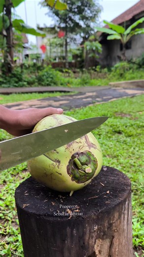 Coconut Cutting Techniques for Beginners