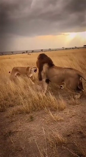 Nightfire Confrontation