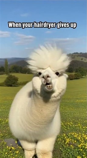 AI Clips: The Good, Bad & Unbelievable