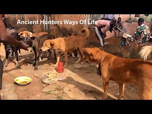 The Untold Story Of How Nigerian/African Hunters Hunt For bushmeat Ep2