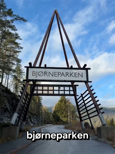 Oppdag Flå Bjørnepark og dyrene våre