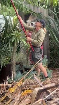 Who run the world? 🌍We mean… who run Symbio? 👀 GIRLS! #symbiowildlifepark #internationalwomensday