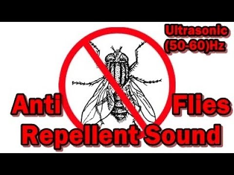 Anti Flies Repellent Sound - Ultrasonic(50-60)Hz #chasefliesaway #noflies #stopflies #antiflies