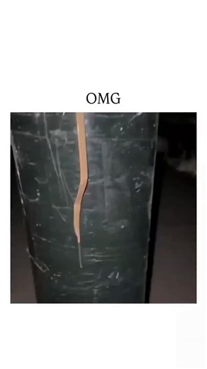 Sᴜᴍɪᴛ on Instagram: "The post showcases a 50-second video of the Gatling Barrage 300 Shot Roman Candle firework launching 300 rapid, colorful bursts into the night sky, a $50-80 consumer product by 888 Fireworks that rivals professional displays. Uploaded by @Enezator on January 6, 2026, with a simple "OMG" caption, it quickly amassed 1.6 million views and 54,000 likes, aligning with the account's focus on viral, feel-good spectacles. Thread replies express shock and humor, likening the finale t