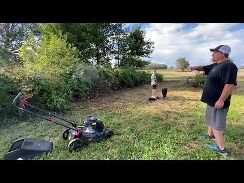 Pulsar 21 Inch Cut Push Mower Review !