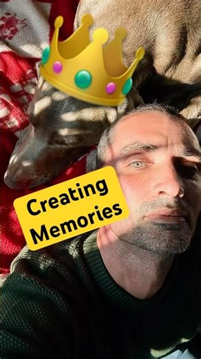 Wise men was right #thor #weimaraner #memories