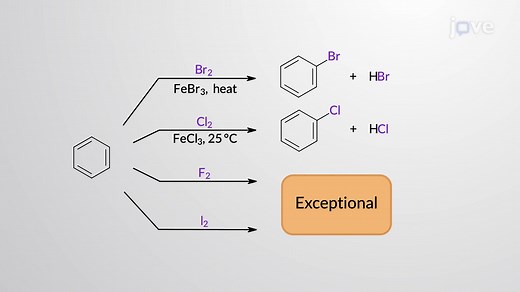Video: Electrophilic Aromatic Substitution: Fluorination and Iodination of Benzene