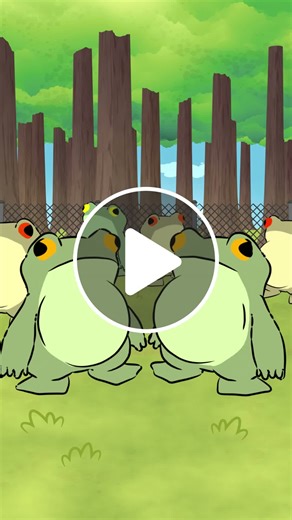 Fun Fact: Some species of tarantulas keep frogs as “pets” in a mutualistic relationship. The frogs eat insects that would otherwise threaten the tarantulas’ eggs, and in exchange, the tarantulas offer them protection from predators.  🐸🕷️🦮 #naturalhabitok #naturalhabitatshorts #naturalhabitat - NewsBreak