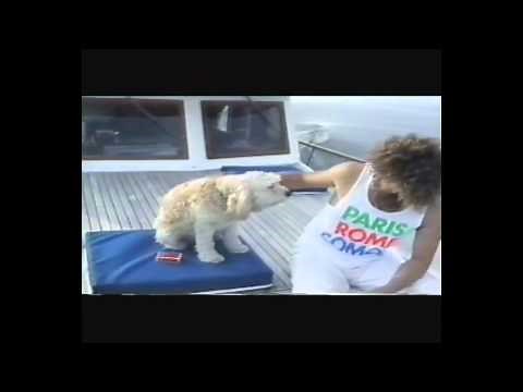 Brian 'Too Loud' Macleod-The Sailor