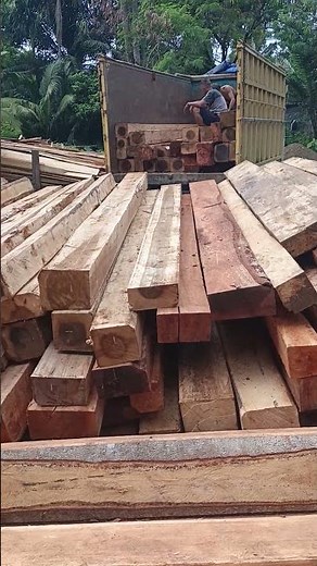 jenis kayu keras bahan bangunan rumah