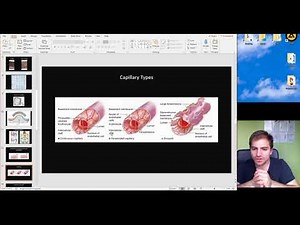 Histology of the Cardiovascular System part 2