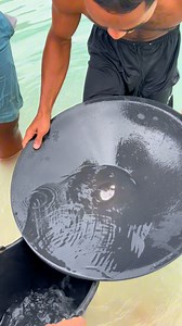 3.1M views · 9.1K reactions | How to separate gold from black sand using mercury #tutorial #how #separate #gold #blacksand #mercury #airraksa #goldpanning #goldmining #goldprospecting #goldhunting #goldpan #goldriver #goldnugget #puregold #goldenriver #discovery #golddiscovery #lookingforgold #mining #amazingvideo | Nepri Andries | Facebook