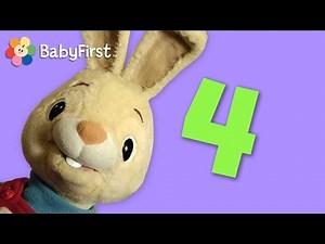 Four | Learning Numbers | Harry the Bunny | BabyFirstTV