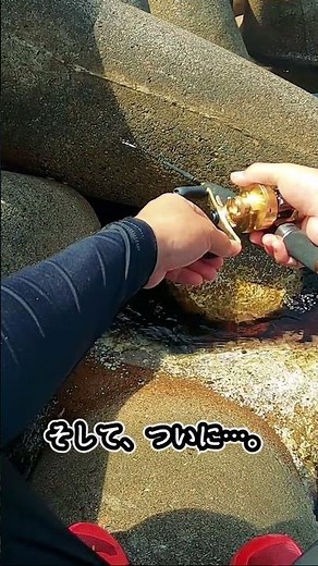 強烈なあたりでロッドがぶち曲がる #穴釣り #釣り #fishing