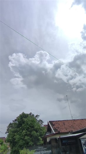 Planar 21 Inch Box Speaker Custom Design