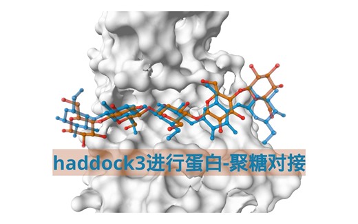 haddock3进行蛋白-聚糖对接01背景介绍 实验方法
