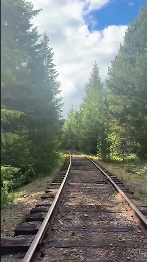 Rail Biking Near Seattle: The Ultimate Forest Adventure 🌲🚲