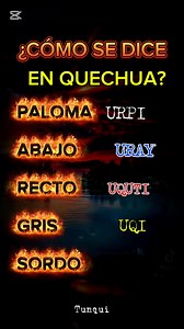 436K views · 3.3K reactions |  ¿Cómo se dice? #quechua #inca #idiomas #language #Cusco #traductor #interpretation #docentes #Tunqui #profesordequechua #quechua #comosedice | 퐓퐮퐧퐪퐮퐢 | Facebook