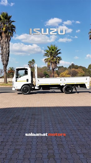 Isuzu 250 Workhorse Review — Strength & Reliability for Tough Jobs
